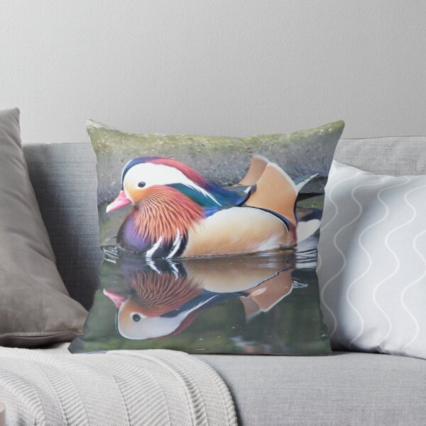Artikelvorschau, Mandarin Duck entworfen und verkauft von Laura Kelk.