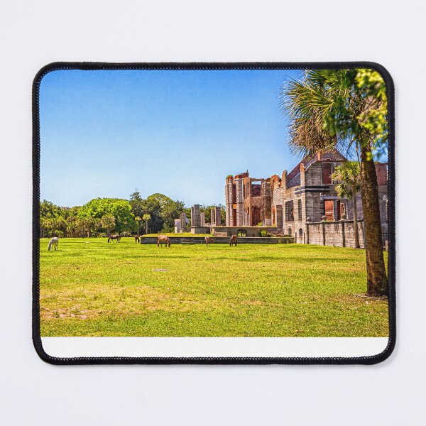 Item preview, Wild Horses at Cumberland Island National Seashore designed and sold by GestaltImagery.