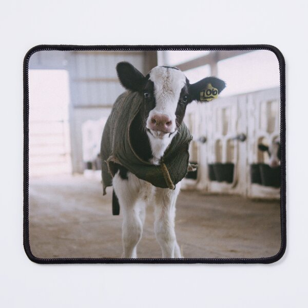 Item preview, Baby Cow designed and sold by hello-friend.