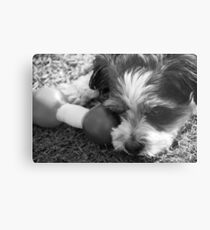 Lonely.... Metal Print