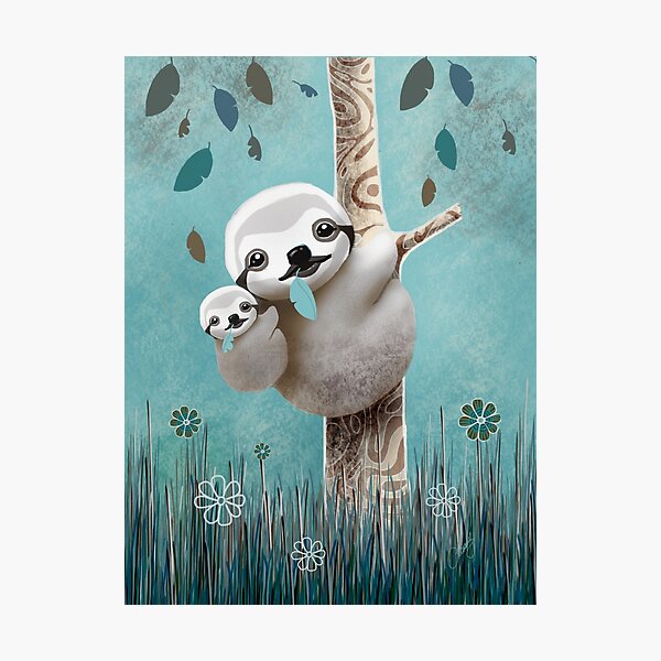 Baby Sloth Daylight Photographic Print