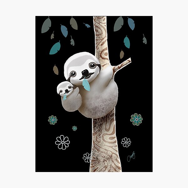 Baby Sloth Midnight Photographic Print