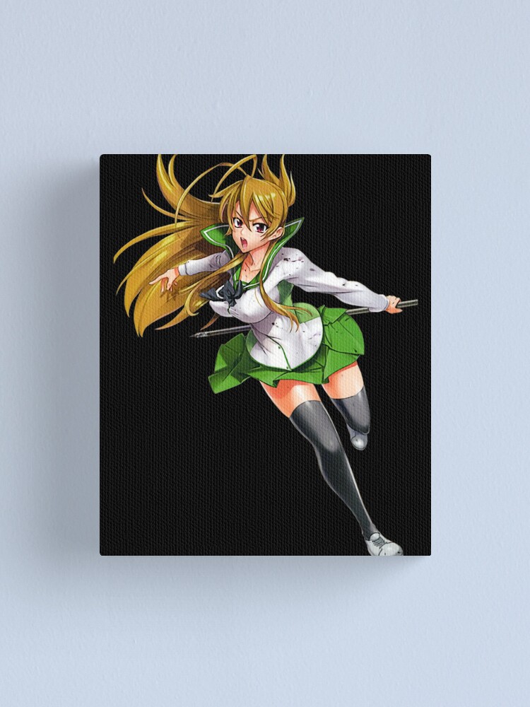 Highschool Of The Dead Anime Wall Poster Manga Art Hanging Painting Room  Decor