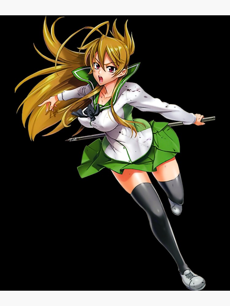 Highschool of the dead Canvas anime cartoon characters Art