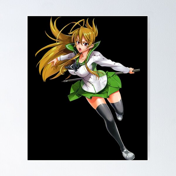 Double Sided Anime Poster: Highschool of the Dead, Samurai Girls