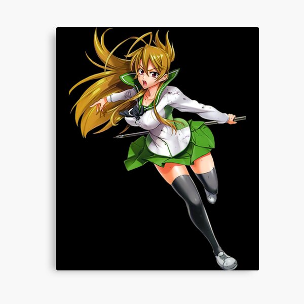 High School of The Dead Saya Takagi Asami Nakaoka Shizuka Marikawa Rei  Miyamoto Female Characters Sticker for Phone, Laptop, Skateboard, Car