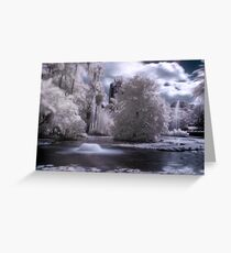 Decadent Greeting Card