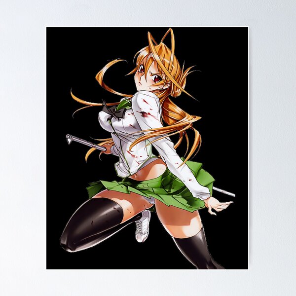 Double Sided Anime Poster: Highschool of the Dead, Samurai Girls