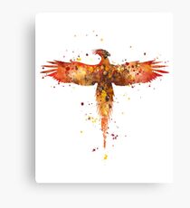 Fawkes Canvas Print