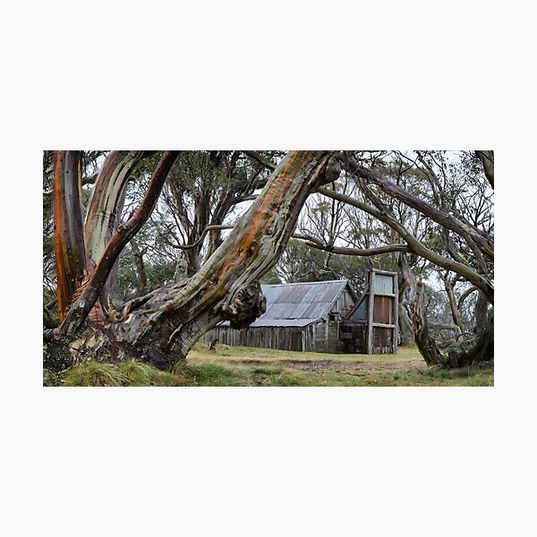 Item preview, Wallace's Hut designed and sold by sapics.