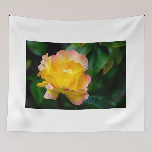 Item preview, Sending you my love designed and sold by jchanders.