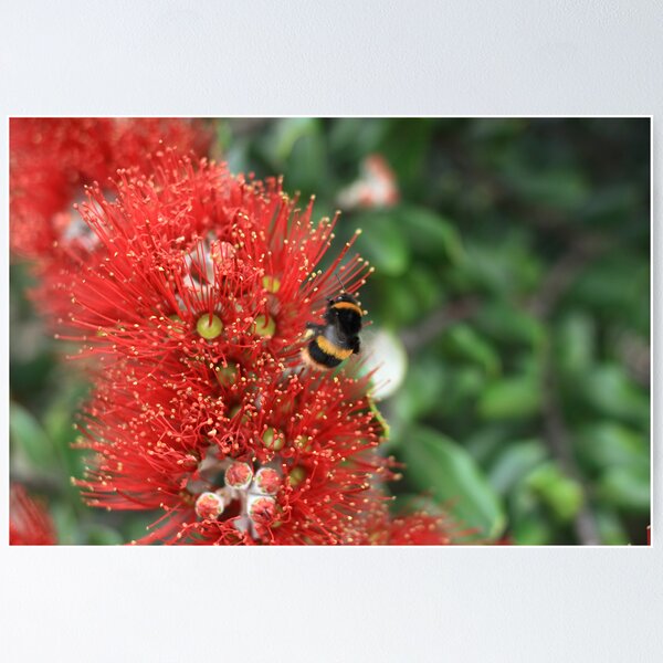 Item preview, Bee #2 designed and sold by sjames.