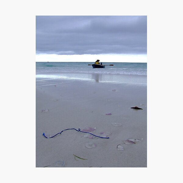 Aperçu de l'œuvre Blue Rope & Jellyfish créée et vendue par Samara  Lee.