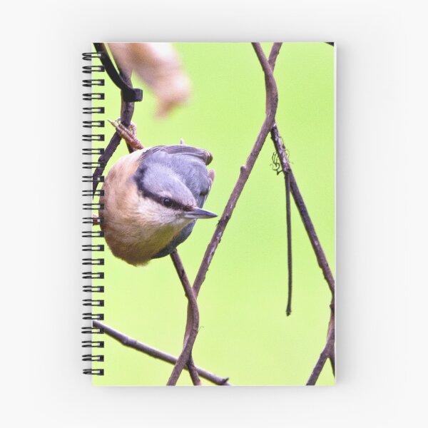 Item preview, Eurasian nuthatch designed and sold by MarekM.