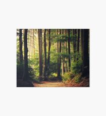 Woods Are Calling Art Board Print