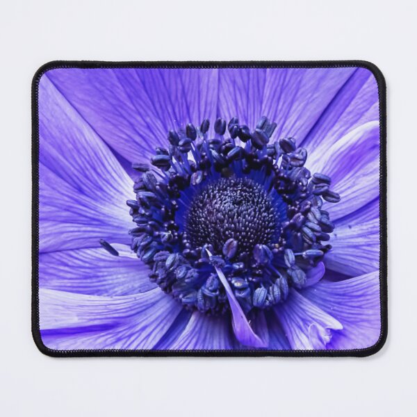 Item preview, Blue Anemone designed and sold by Elisabeth Lucas.