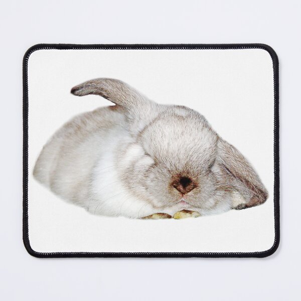 Item preview, teddy snoozing, sleeping bunny designed and sold by Trish Hart.