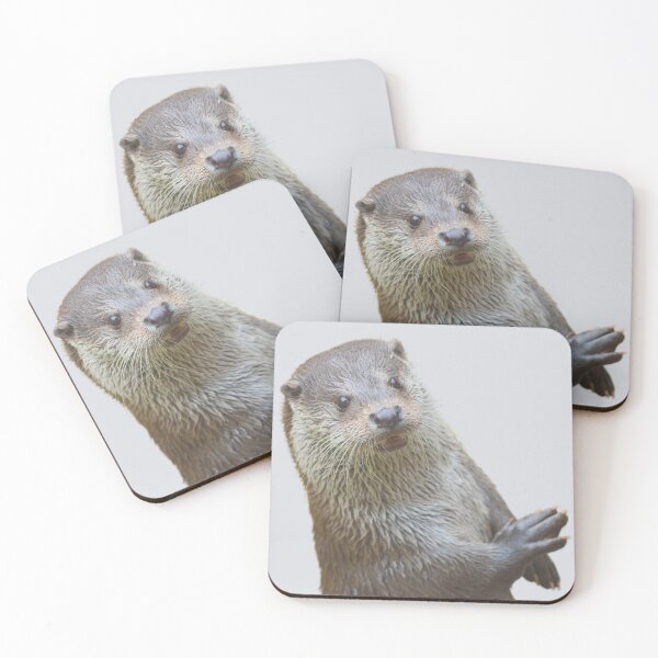 Item preview, Cute Otter designed and sold by RainbowSpinkle.