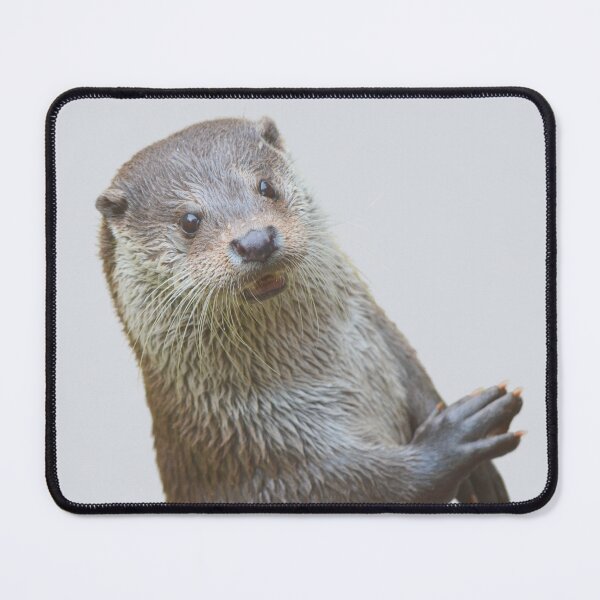 Item preview, Cute Otter designed and sold by RainbowSpinkle.