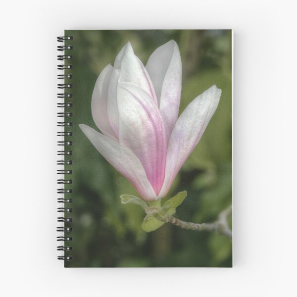 Item preview, Power of Spring designed and sold by Thea 65.