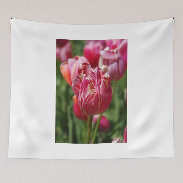 Item preview, Tulips In Bendigo designed and sold by lezvee.