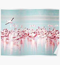 Flamingo, Flamingos print, Sea, Ocean, Modern art, Wall art, Print, Minimalistic, Modern Poster