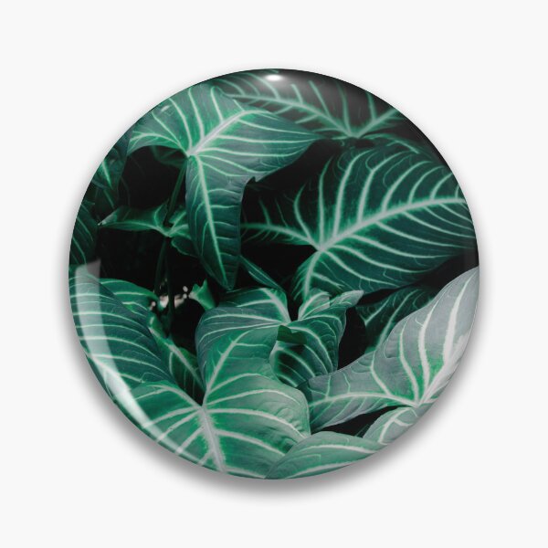 Item preview, "Tropical Greenery" - A close-up photograph of lush, green tropical leaves.  designed and sold by pocketgraphic.