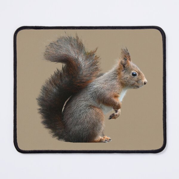 Item preview, Playful Squirrel designed and sold by RainbowSpinkle.