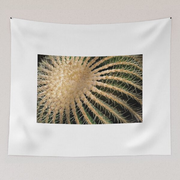 Item preview, spikes designed and sold by mamba.
