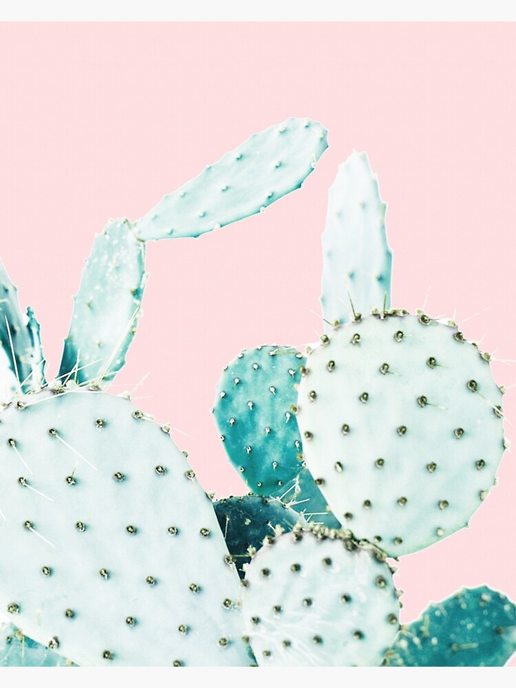 Cacti, Cactus, Cacti print, Cactus art, Desert, Nature, plant, Minimalist, Modern by juliaemelian