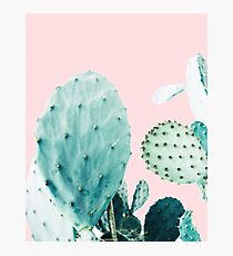 Kakteen, Kaktus, Kakteen drucken, Kaktus Kunst, Wüste, Natur, Pflanze, Minimalist, Modern Fotodruck