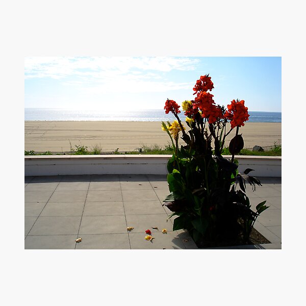 Item preview, California colours designed and sold by Daniel Barnett.
