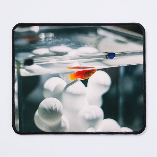 Item preview, White Coral with Orange Goldfish - An Aquarium in Japan designed and sold by sthNnth.