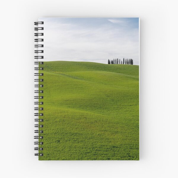 Item preview, Green fields and trees in Val D Orcia designed and sold by pietrofoto.
