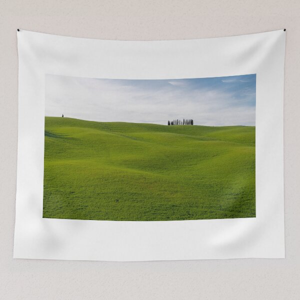 Item preview, Green fields and trees in Val D Orcia designed and sold by pietrofoto.