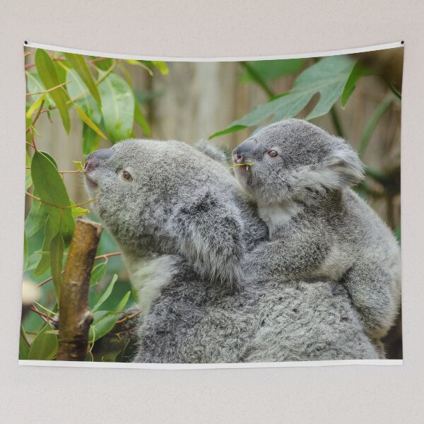 Aperçu de l'œuvre Maman Koala Australienne Bébé Koala dans un arbre à gomme créée et vendue par Jaydee001.