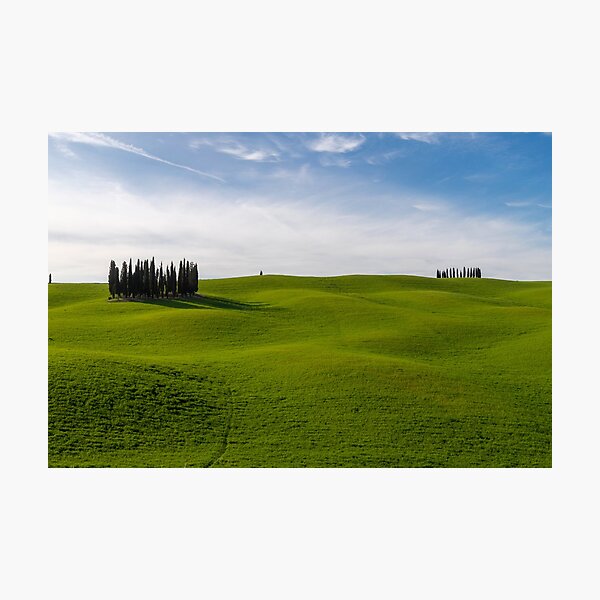 Cypress trees in Val D Orcia Photographic Print