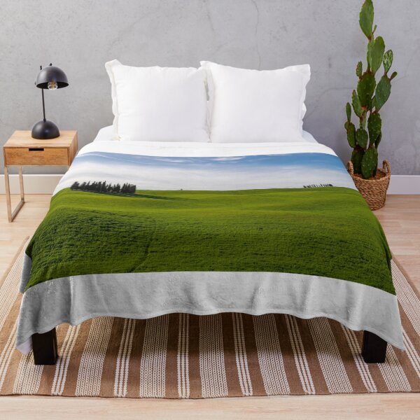 Item preview, Cypress trees in Val D Orcia designed and sold by pietrofoto.