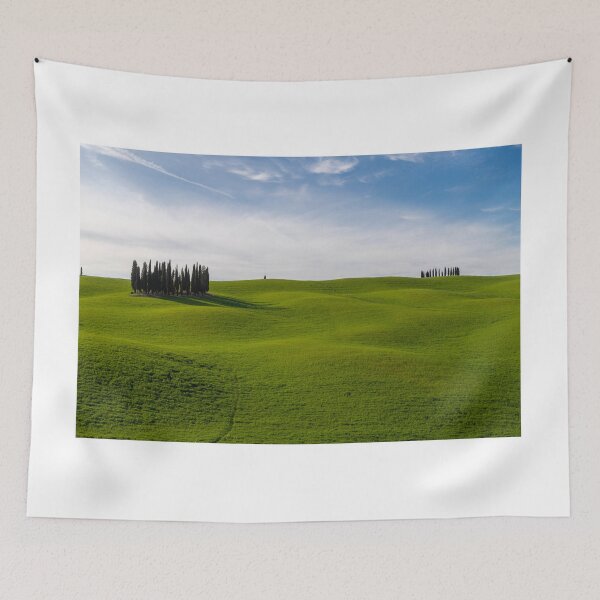 Item preview, Cypress trees in Val D Orcia designed and sold by pietrofoto.