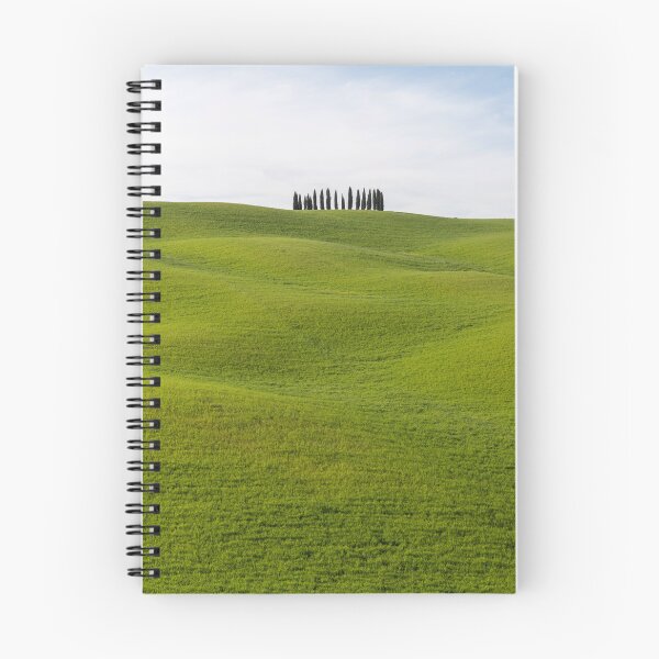 Item preview, Cypress trees in Val D Orcia designed and sold by pietrofoto.