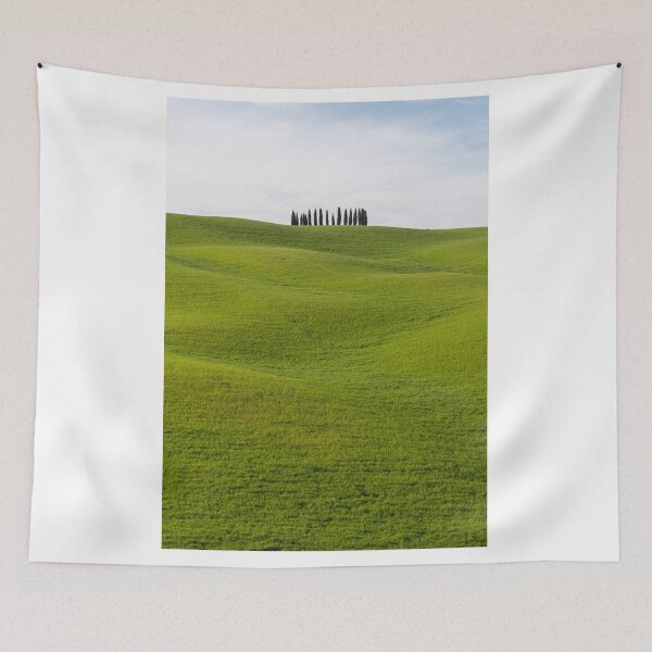 Item preview, Cypress trees in Val D Orcia designed and sold by pietrofoto.