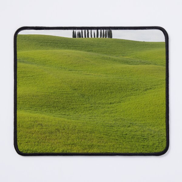 Item preview, Cypress trees in Val D Orcia designed and sold by pietrofoto.