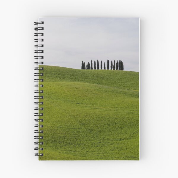 Item preview, Cypress trees in Val  D Orcia designed and sold by pietrofoto.