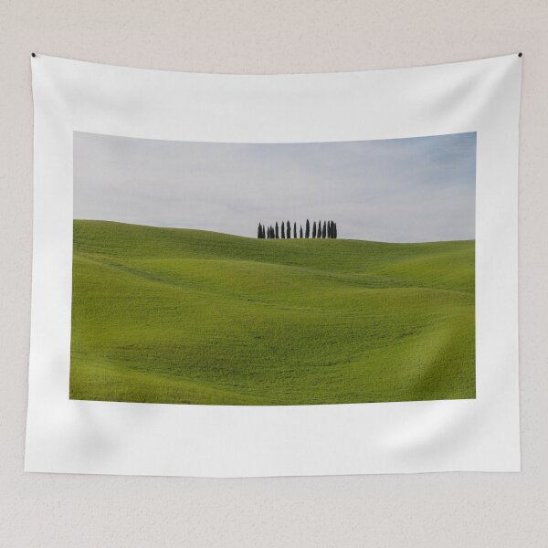 Item preview, Cypress trees in Val  D Orcia designed and sold by pietrofoto.