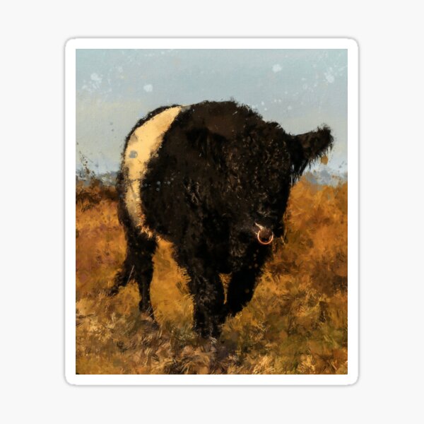 Item preview, Belted Galloway Cow, Cute Farm Animal, Belted Galloway Cattle Oil Paint, Scottish Belted Galloway Cattle designed and sold by Paintcorner.