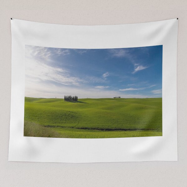 Item preview, Green field with trees in Val D Orcia designed and sold by pietrofoto.