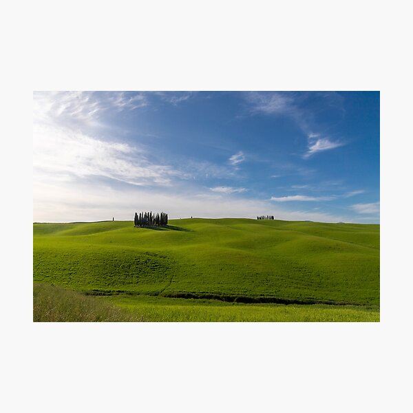 Green field with trees in Val D Orcia Photographic Print