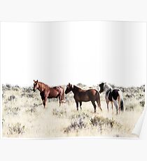 Pferde, Pferd drucken, Pferd Kunst, Wandkunst, Wanddekoration, Trendy print, Animal print, Interior Poster