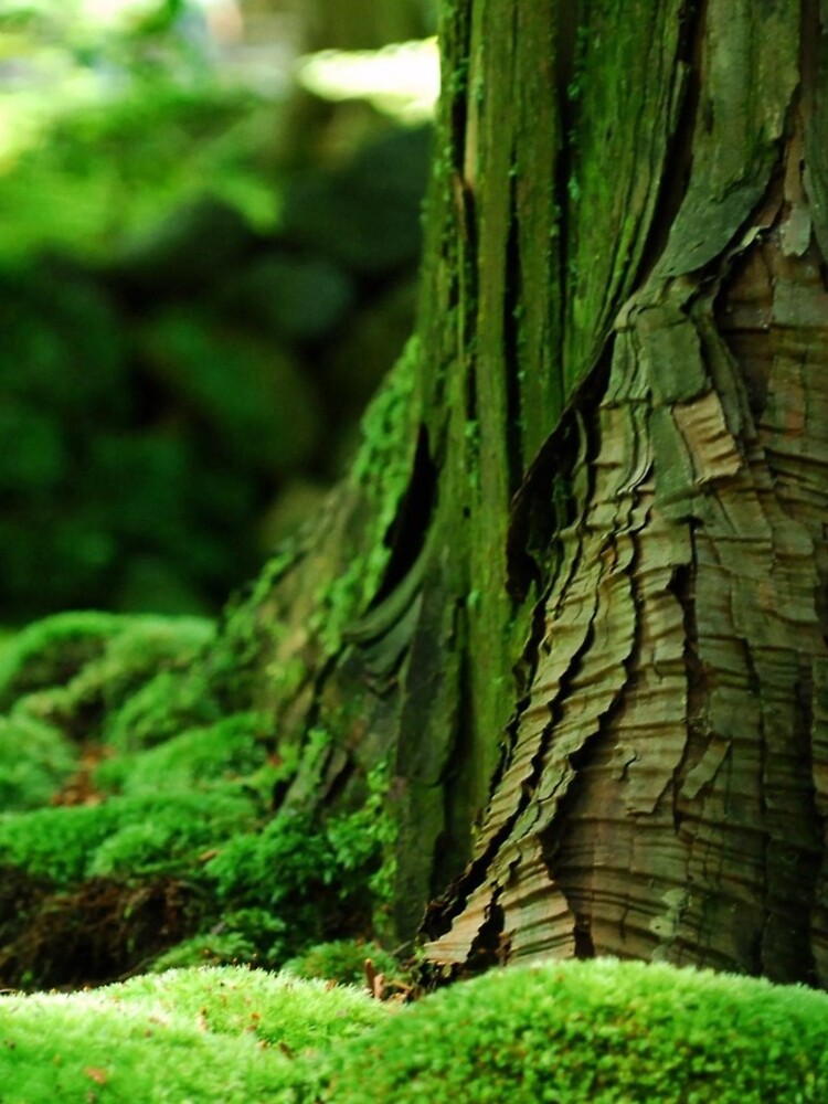 Thumbnail 4 of 4, iPhone Case, Tree designed and sold by UnlimitedRAM.
