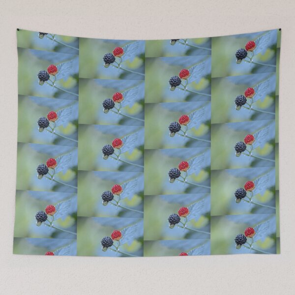 Item preview, Wild Blackberries ~ ripened and ripening... designed and sold by Laurie Minor.